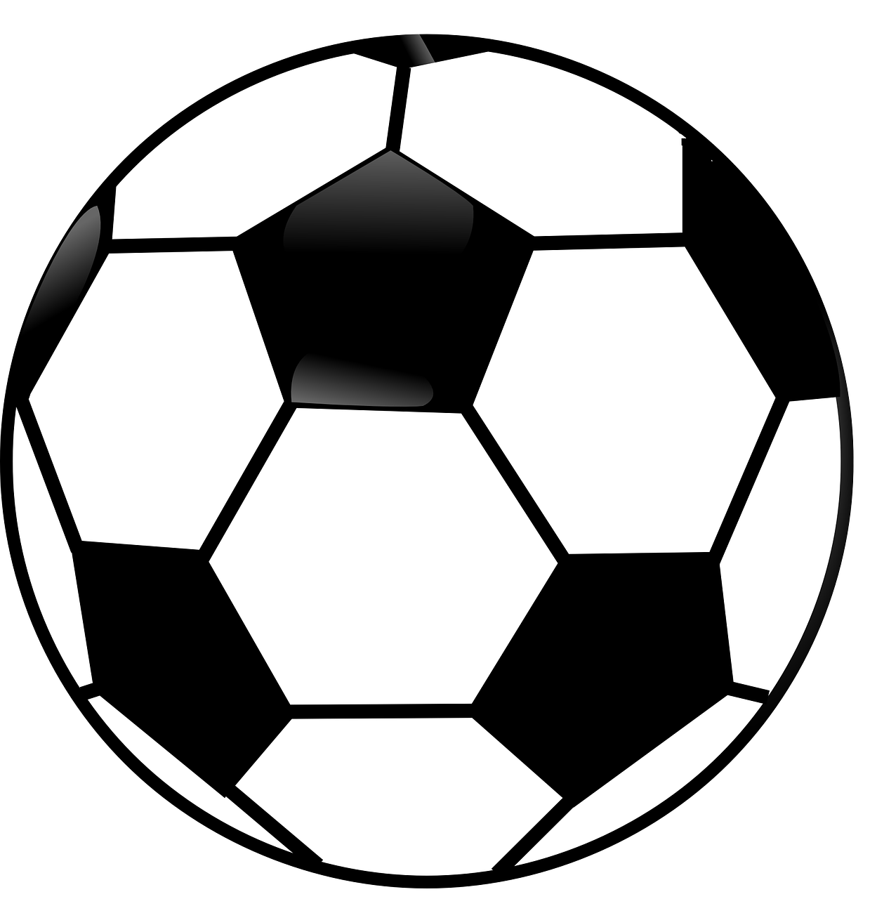 Una pelota